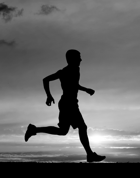Adrenaline Is the Early Bird’s Best Friend