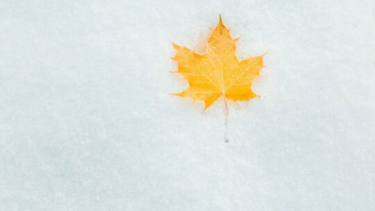 Don’t Let The Cold Kill Your Cardio