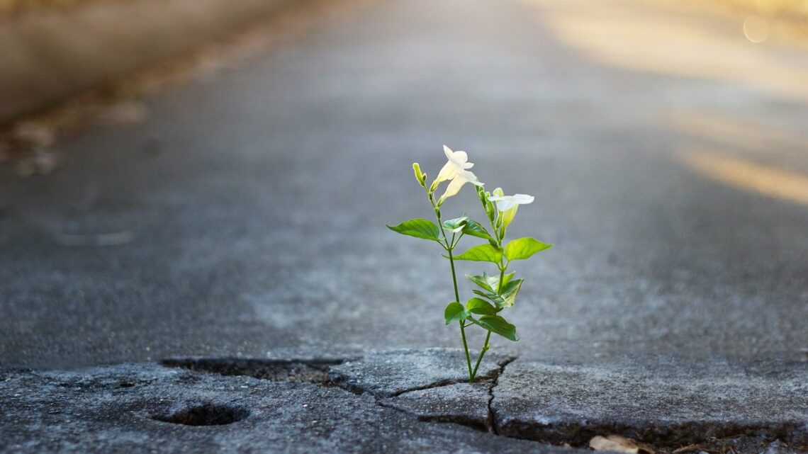 Positivity: Why It’s Important in Your Fitness Journey