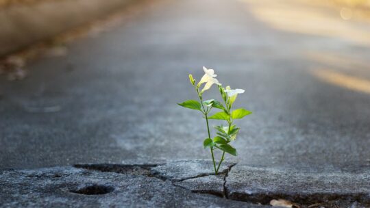 Positivity: Why It’s Important in Your Fitness Journey