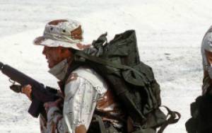 Strength and Speed, Frogman-Style: A 12-Week Challenge