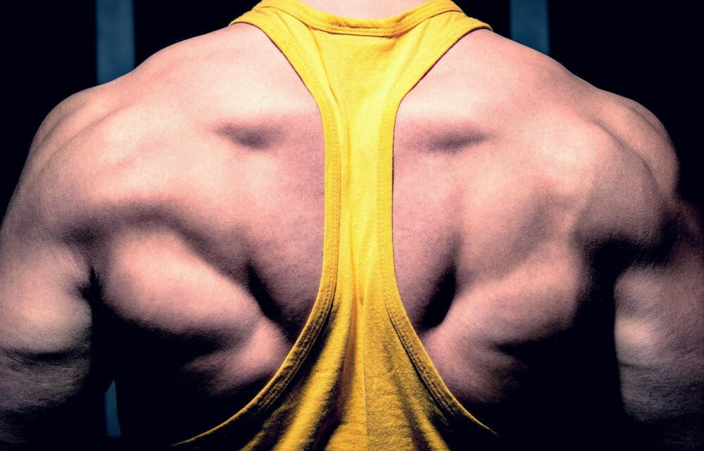The Beneficial Effects of Novelty for Hypertrophy