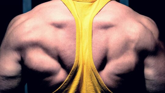 The Beneficial Effects of Novelty for Hypertrophy