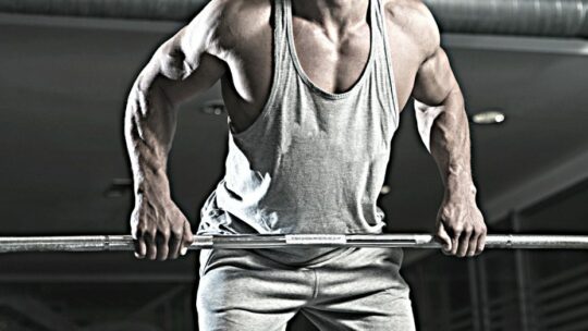 Train Less, Gain More